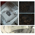 Lade das Bild in den Galerie-Viewer, MOSQUITO-X™ ULTRA TRAP